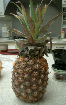 PINAPPLE