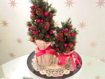 IMG_1479 IMG_1479