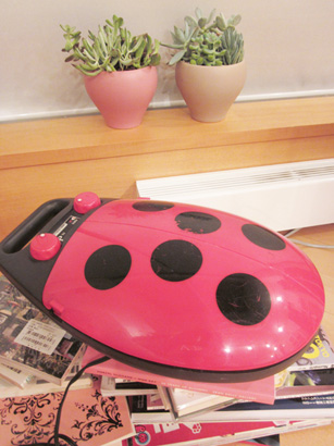 LADYBIRD LADYBIRD
