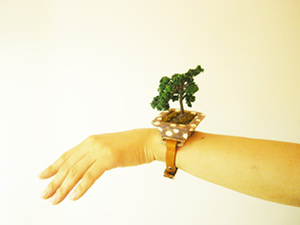 Fukumo-Bonsai Fukumo-Bonsai
